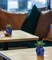 Lifelike 5.5" Artificial Succulent Crassulaceae - Realistic and Low-Maintenance Home Decor, Floral Home by Artificial Flowers